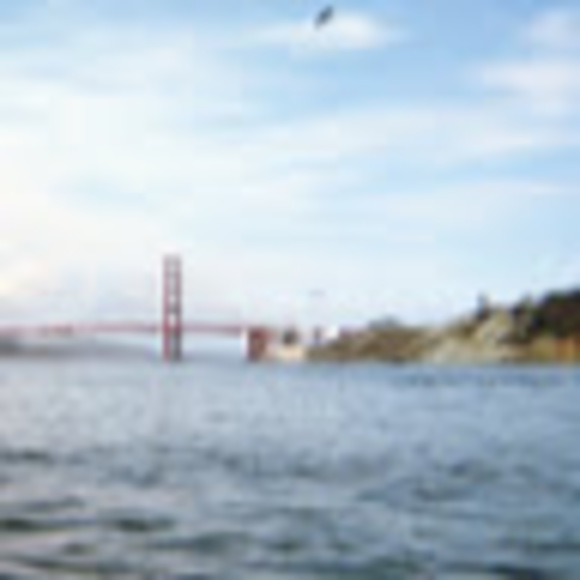 Meet your Posher, Aria - Picture 1 of 1